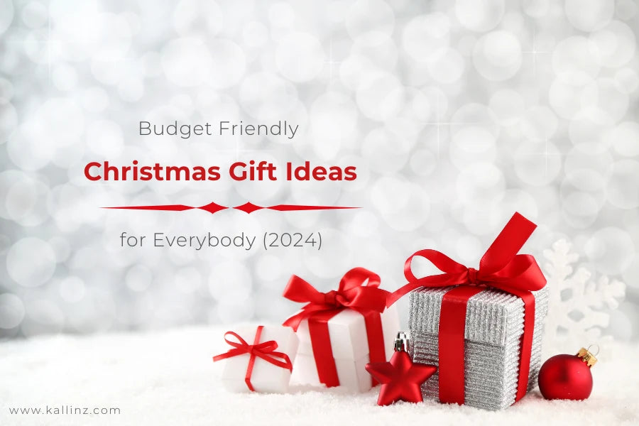 Budget Friendly Christmas Gift Ideas for Everybody2024